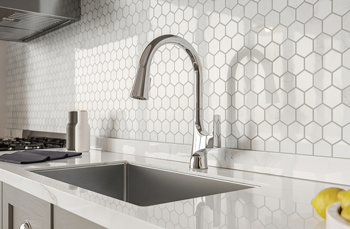 Pfister Norden Faucet