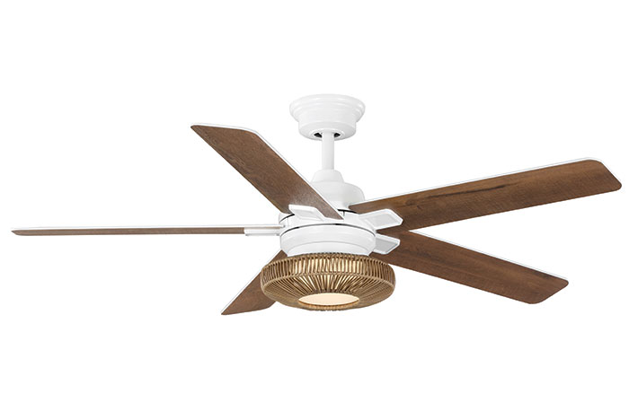 Progress Lighting Schaal Collection Ceiling Fan
