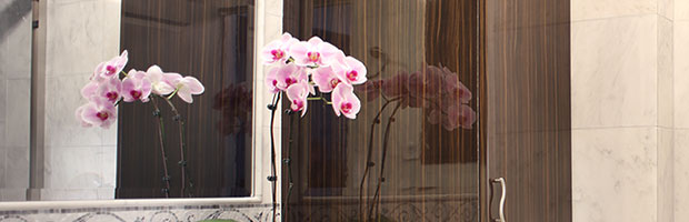 Celebrating Local Design