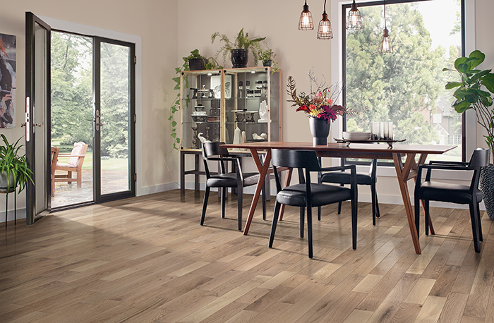 AHF Products Visualizer Tool