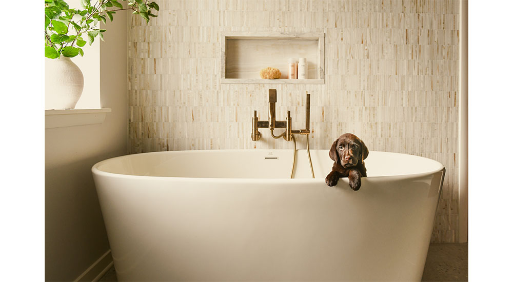 guest bathroom tub with puppy