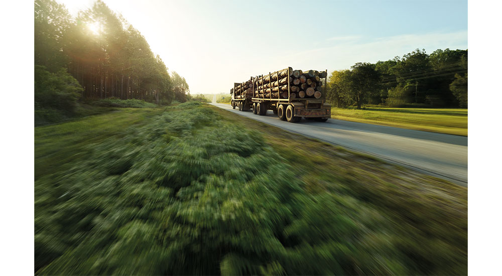 Egger Wood Products