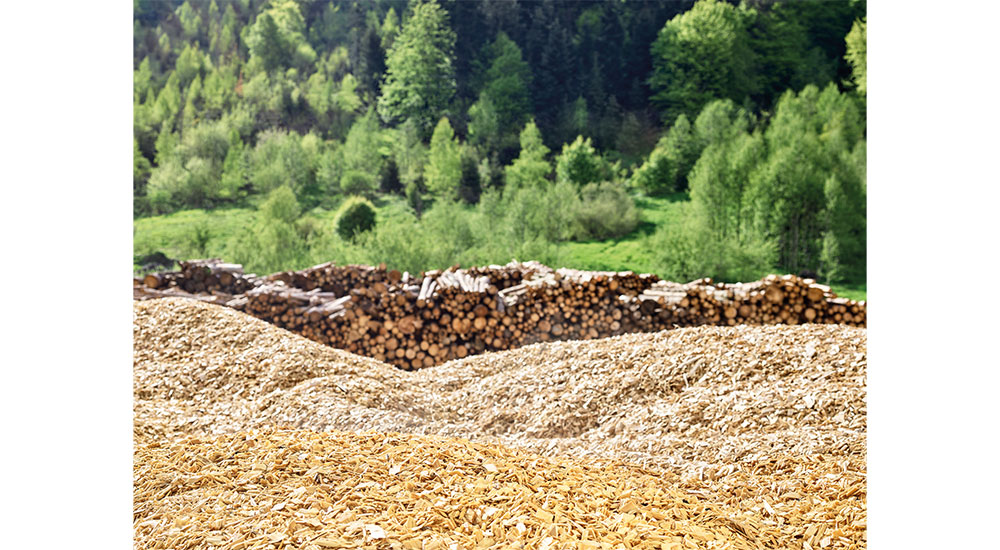 Designing a Greener Future: How Sustainability Is Reshaping the Interiors Industry
