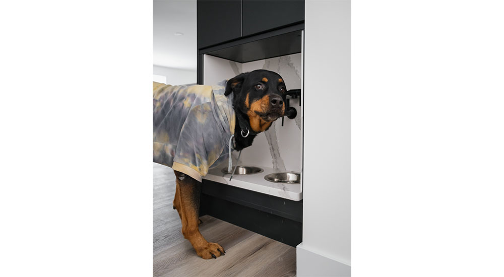 kbis dog feeding station in kitchen