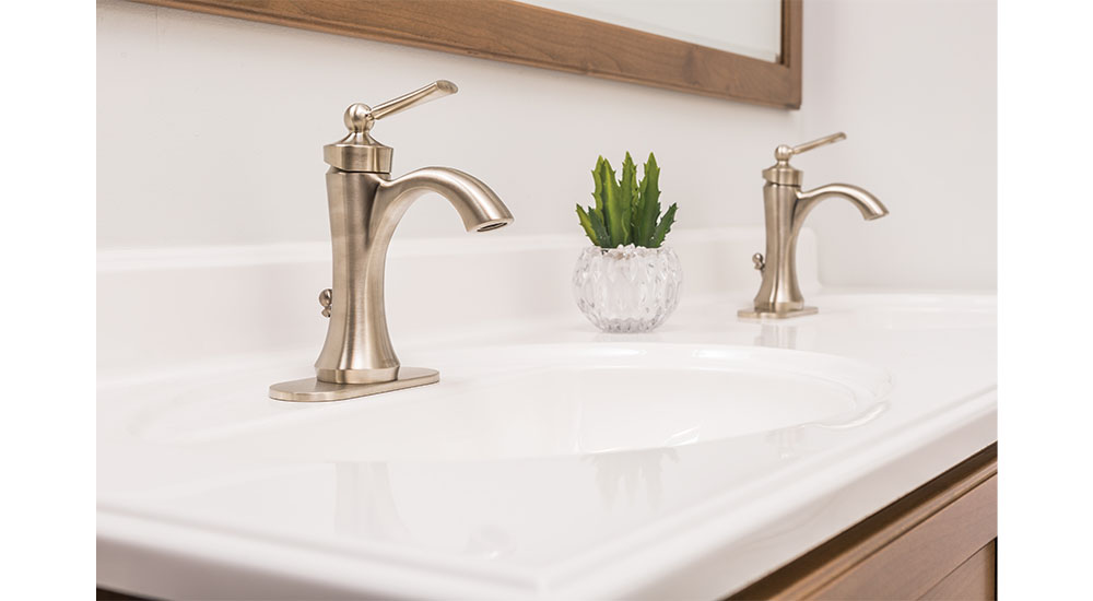 biophilic plant in remodeled bathroom