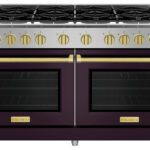 BlueStar Platinum Series gas range