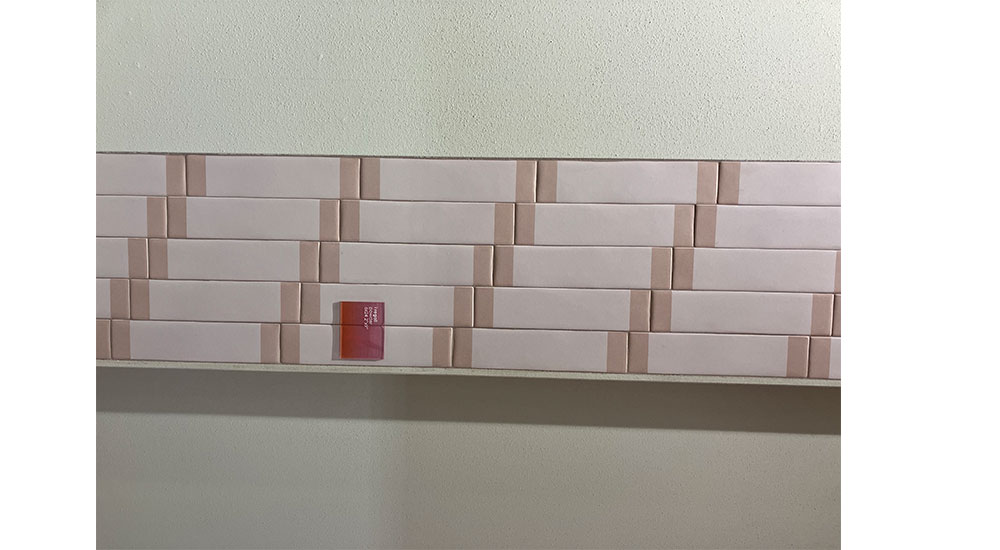 Ermesaurelia iRegoli