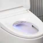 Grohe Sensia Electronic Bidet Toilet