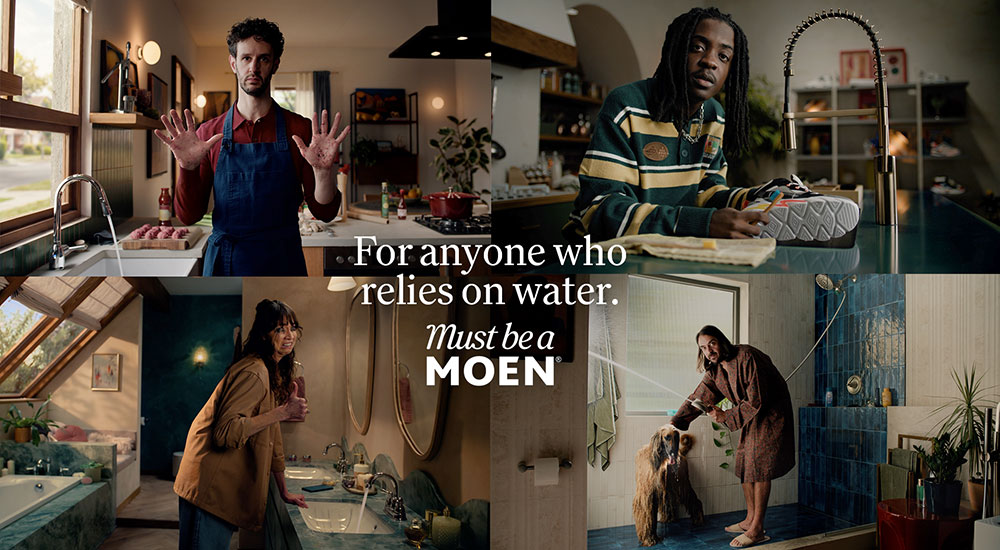 Must Be A Moen Brand Platform