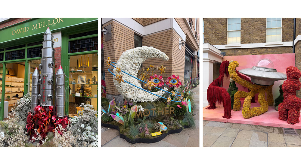 displays at Chelsea in bloom flower show