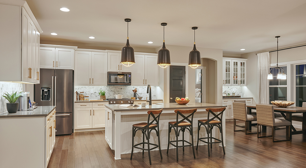 Lutron Electronics LED+ Dimmer — Pro Max Line