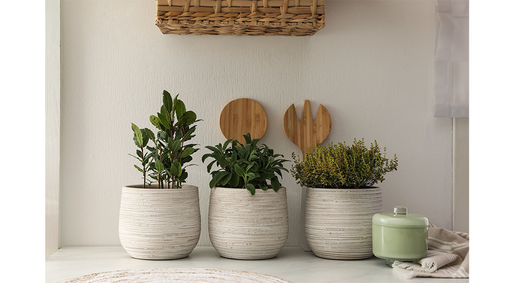 kitchen herb garden sensory element AdobeStock_New Africa