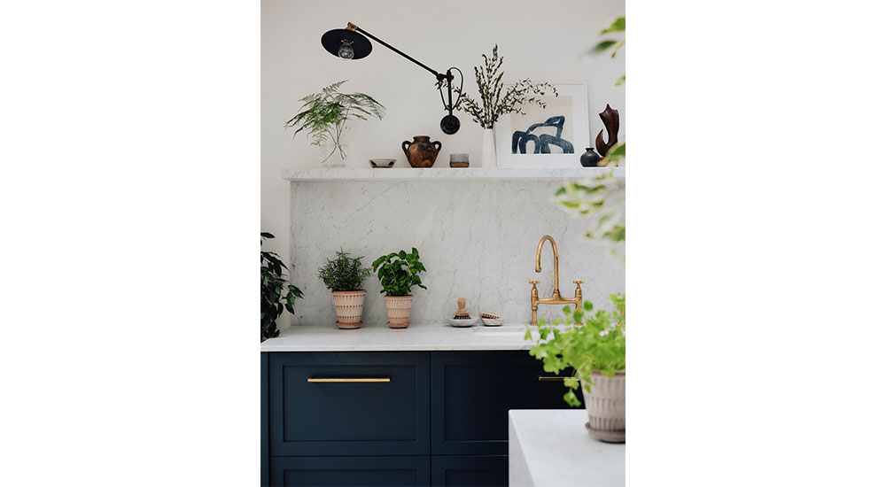potted plants in the kitchen