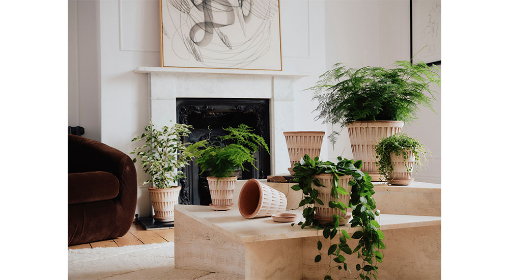 houseplant pot design