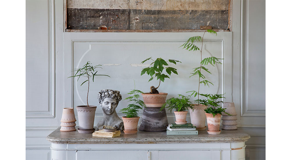 houseplants on sideboard