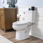 Bio Bidet BB-300